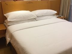 -维也纳酒店(南京奥体中心店)