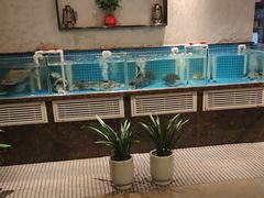 -汉水谣·江景餐厅(江滩店)