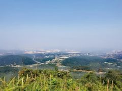 -黄埔油麻山森林公园