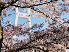 -上海南浦大桥长途旅游客运站