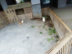 -宁波九龙湖开元度假村