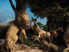 -国家自然博物馆