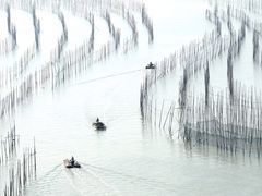 -北岐滩涂