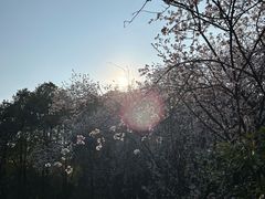 -贵阳市花溪国家城市湿地公园