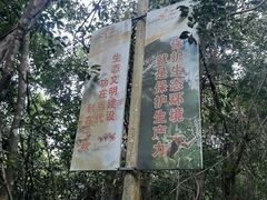 -霸王岭国家森林公园