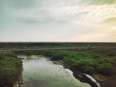 -北海金海湾红树林生态旅游区