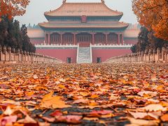 -故宫博物院(故宫)