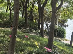 -美兰湖景区