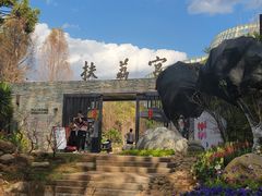 -昆明植物园