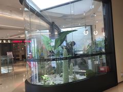 -布吉佳兆业广场