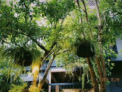 -Fern Forest Cafe