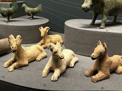 -广西壮族自治区博物馆