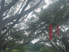-云溪植物园