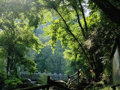 -岳西天峡风景区