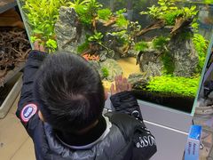 -朝来春花卉市场