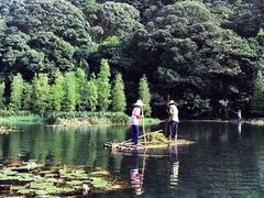 -广州市石门国家森林公园