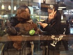 -喜茶(深圳福田星河COCO Park店)
