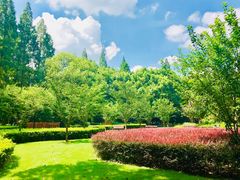 -徐家汇源景区-衡山公园