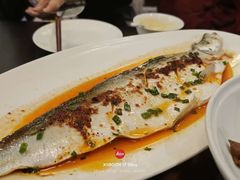 剁椒豆豉蒸翘嘴鱼-书湘门地·中国十佳湘菜(西苑店)