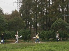 -上海长兴岛郊野公园