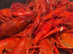 -一棠龙虾•王牌虾球(恒隆广场店)