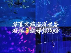 -华夏文旅海洋公园