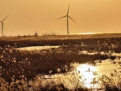 -野鸭湖国家湿地公园
