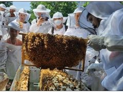 -爱威盛亲子俱乐部·纽约国际早托中心