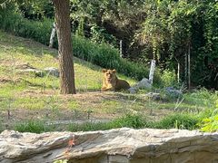 -北京野生动物园