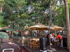 -二荆条·蜀鲜汇城市森林火锅