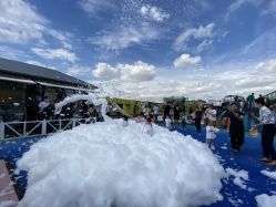 -小蜜蜂农场(凯德七宝购物广场店)