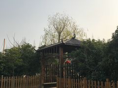 -长兴岛郊野公园农场食堂