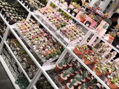 -KKV(深圳宏发大仟里店)