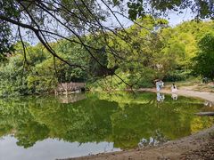 -深圳国际园林花卉博览园