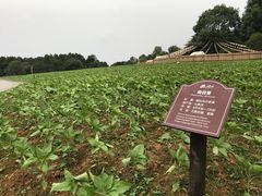 -保利石象湖景区