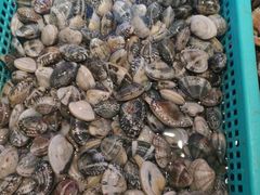 -船梆煮•蒸汽海鲜·生腌干蒸(五四广场店)