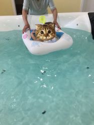 -爱乐婴童水育早教中心·儿童游泳中心(田园商业广场店)