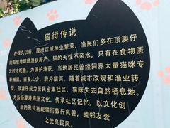 -猫咪博物馆(顶澳仔猫街店)