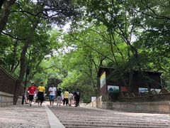 -灵岩山风景区
