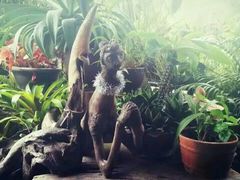 -自然餐厅(Phuket)