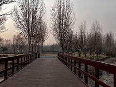 -北龙湖湿地公园