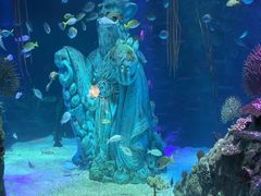 -沈阳海洋探索中心