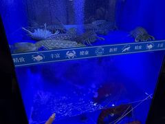 -一哥美食(总店)