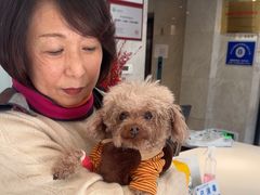 -北京派仕佳德动物医院·超导核磁·CT·神经科·骨科·内外科·急重症管理中心