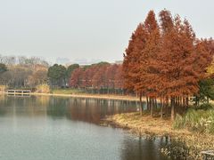 -尚贤河湿地
