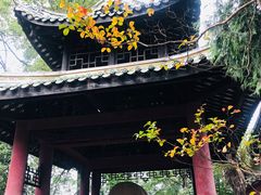 -窦圌山风景区