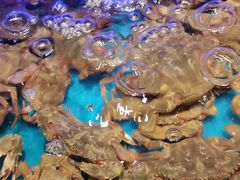 -SEA西雅图海鲜自助餐厅(海乐世界店)
