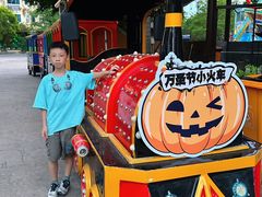-灵玲国际马戏城