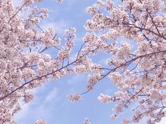 -龙美术馆(西岸馆)