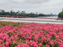 -海心沙亚运公园